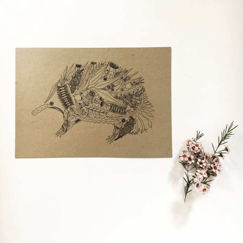 May include: A black and white line drawing of an echidna, a spiny anteater native to Australia and New Guinea, on a brown paper background.