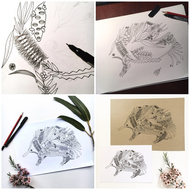 May include: A black and white line drawing of an echidna made up of Australian native flora. The drawing is on a white background and is surrounded by eucalyptus leaves and flowers.