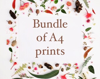 A4 print bundle- choose your bundle of A4 gumdots art prints