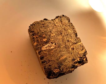 2012 Cha Yu Lin Hua Zhuan - Té oscuro de Hunan