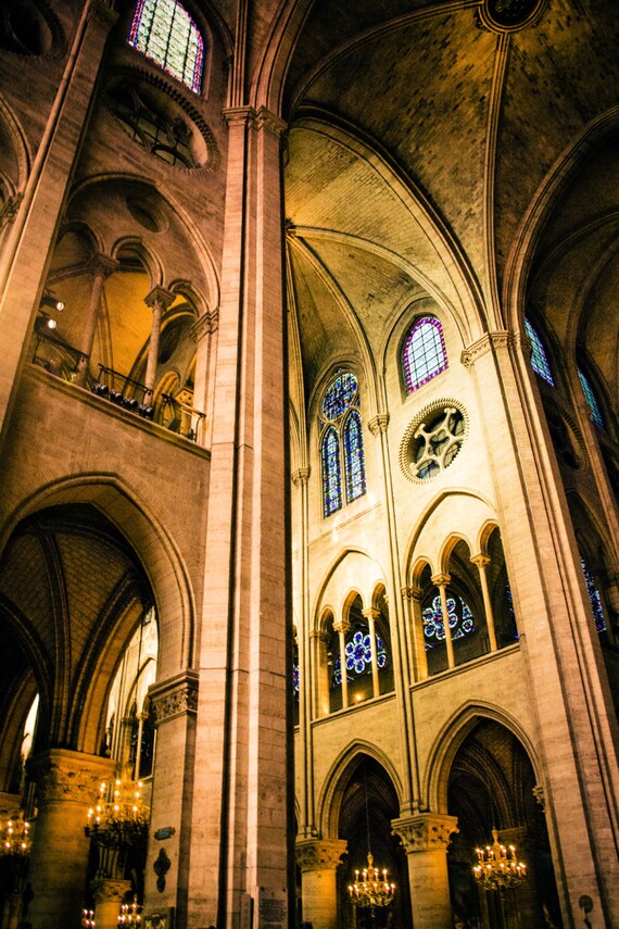 Notre Dame Ceiling Parisian Cathedrals Parisian Scenes