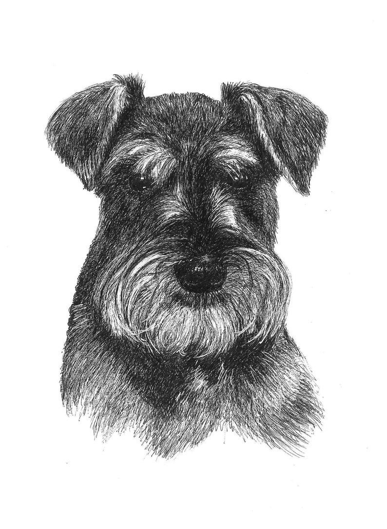 Pet portrait portrait custom Custom pet portrait Pet Memorial Best friend birthday gifts Christmas gifts for boyfriend Gifts for mom
