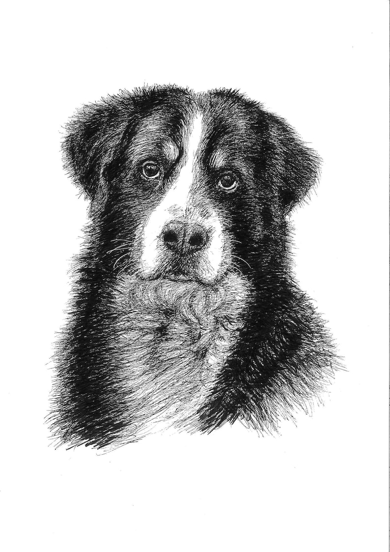 Pet portrait portrait custom Custom pet portrait Pet Memorial Best friend birthday gifts Christmas gifts for boyfriend Gifts for mom
