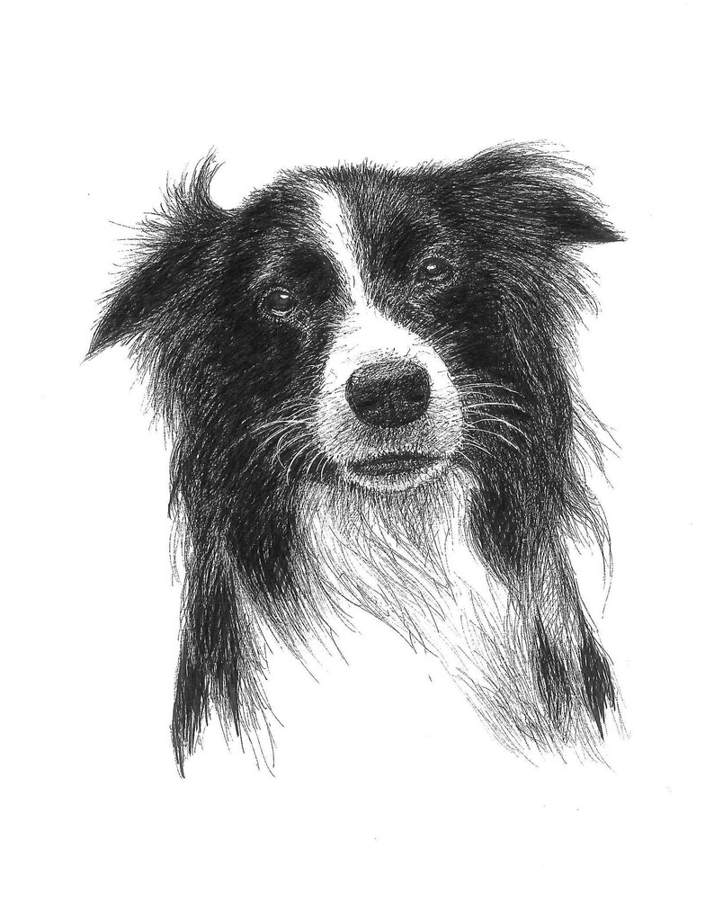 Pet portrait portrait custom Custom pet portrait Pet Memorial Best friend birthday gifts Christmas gifts for boyfriend Gifts for mom