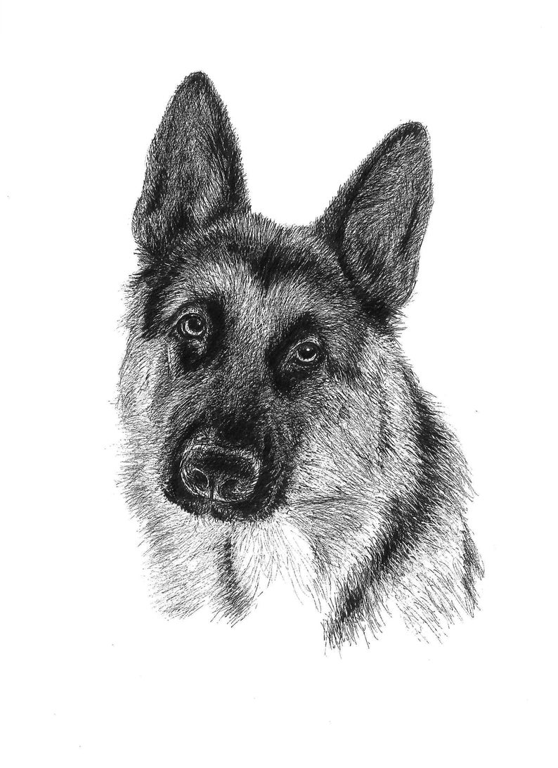 Custom pet canvas Pet portrait canvas Dog canvas Cat canvas Custom pet painting canvas Dog portrait canvas Custom dog painting Canvas Custom