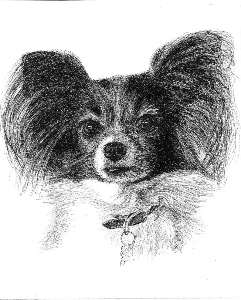 Pet portrait portrait custom Custom pet portrait Pet Memorial Best friend birthday gifts Christmas gifts for boyfriend Gifts for mom