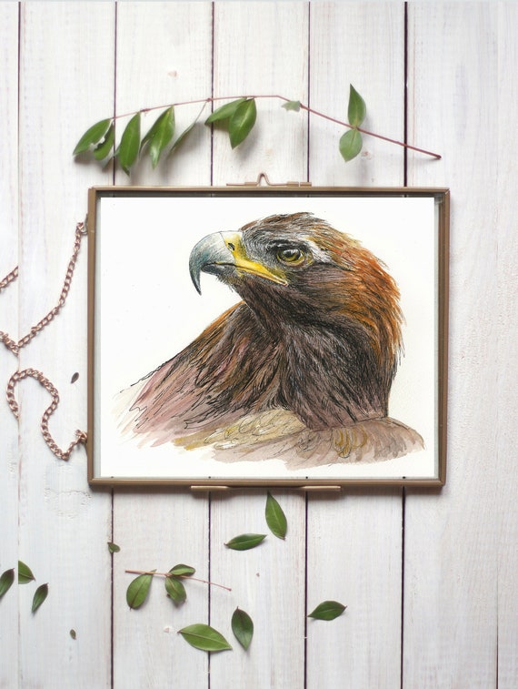 Golden Eagle Home Office Wall Decor For Men Bird Watercolor Wildlife Art Home Décor Wildlife Prints Bird Decor Nursery Wall Décor