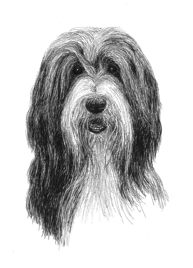 Custom pet canvas Pet portrait canvas Dog canvas Cat canvas Custom pet painting canvas Dog portrait canvas Custom dog painting Canvas Custom