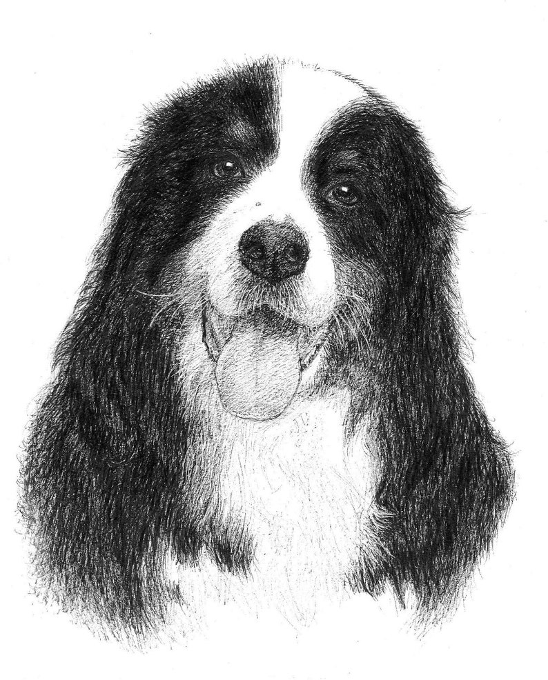 Custom pet canvas Pet portrait canvas Dog canvas Cat canvas Custom pet painting canvas Dog portrait canvas Custom dog painting Canvas Custom