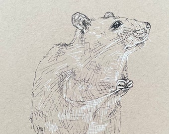 Original Rat Drawing