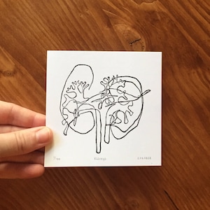 Kidneys Print, Tiny Artwork, Lino Print, Anatomy Art, Biology Art, Organs, Strange, Linocut, Lino Print Wall Art, Weird Art, Linocut Print