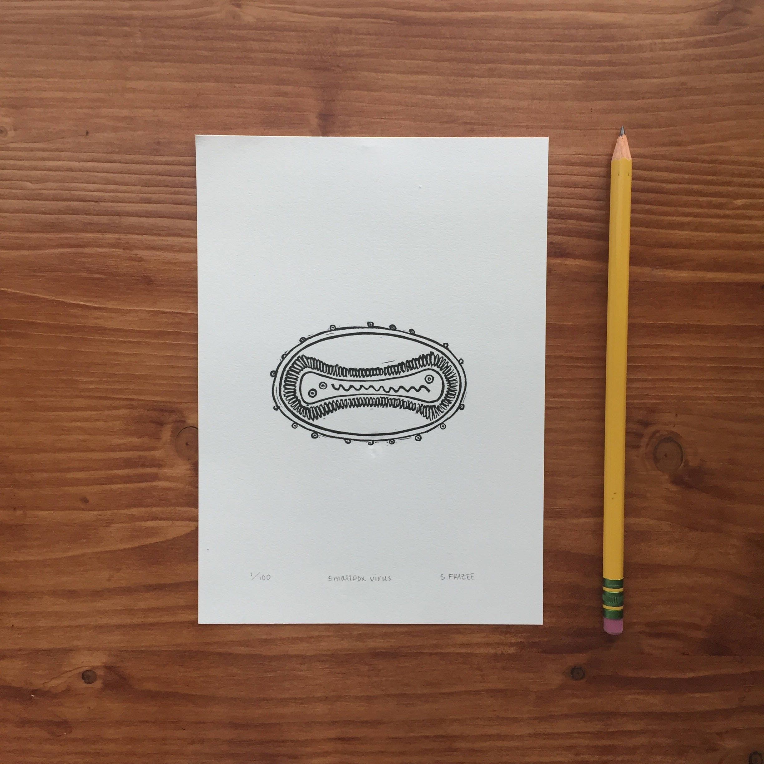 Smallpox Virus Print, Smallpox Art, Biowarfare, Vaccine, Virus Parts ...