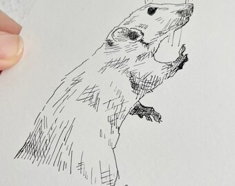 Original Rat Drawing