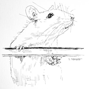 Original Rat Drawing