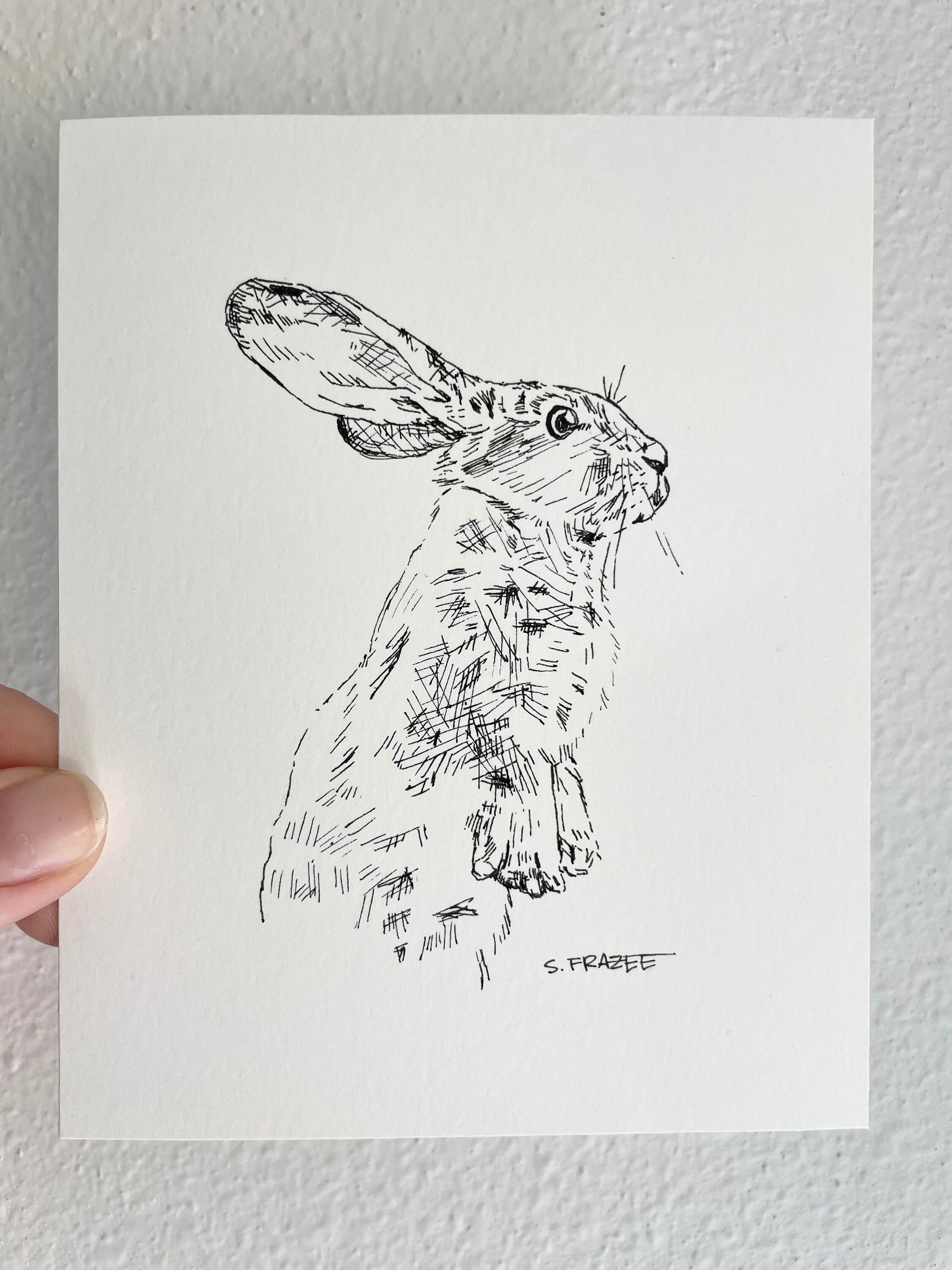 Original Rabbit Drawing - Etsy