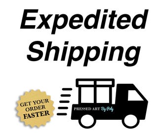 Expedited Shipping Upgrade: US Orders Only
