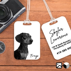 Custom Photo Luggage Tag, Double Sided Bag Tag, Personalized Pet Bag Tag, Pet Travel, Dog Cat Carrier Tag, Backpack Tag, Pet Crate ID, photo