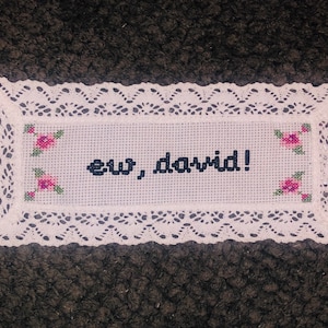 May include: White cross-stitch piece with the phrase "ew, david!" in black. The piece is framed by a white lace border and decorated with pink and green floral accents in each corner. A decorative item.