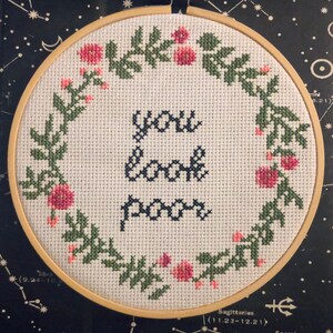 You Look Poor inspired by Anna cross stitch!