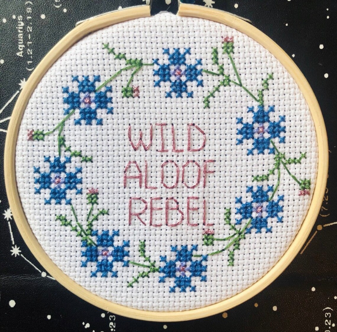 wild aloof rebel wild aloof rebel