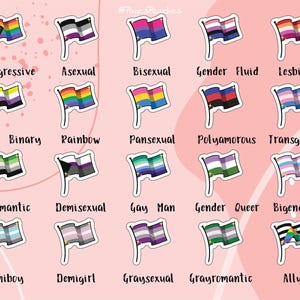Hojas pequeñas de pegatinas del Orgullo: Bandera transgénero - Pegatinas LGBTQ al por mayor imagen 3