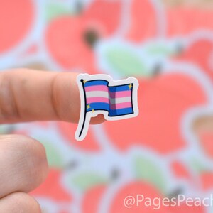 Hojas pequeñas de pegatinas del Orgullo: Bandera transgénero - Pegatinas LGBTQ al por mayor imagen 4