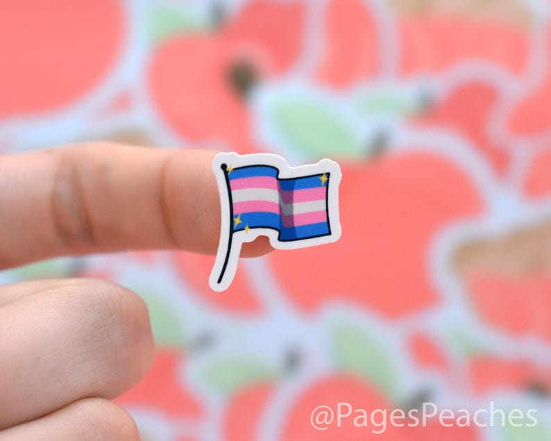 Hojas pequeñas de pegatinas del Orgullo: Bandera transgénero - Pegatinas LGBTQ al por mayor imagen 4