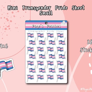 Hojas pequeñas de pegatinas del Orgullo: Bandera transgénero - Pegatinas LGBTQ al por mayor