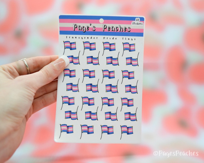 Hojas pequeñas de pegatinas del Orgullo: Bandera transgénero - Pegatinas LGBTQ al por mayor imagen 2