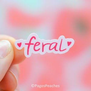 Small Feral Sticker Mini Stickers Variety Pack Tiny Stickers for Phone Case