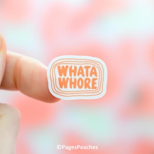 Mini Sticker Pack, süße kleine wasserdichte Vinyl Aufkleber für Wasserflaschen, Laptops, Telefonhüllen, Planer
