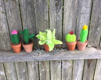 Needle Felted Alpaca Fiber Mini Cactus