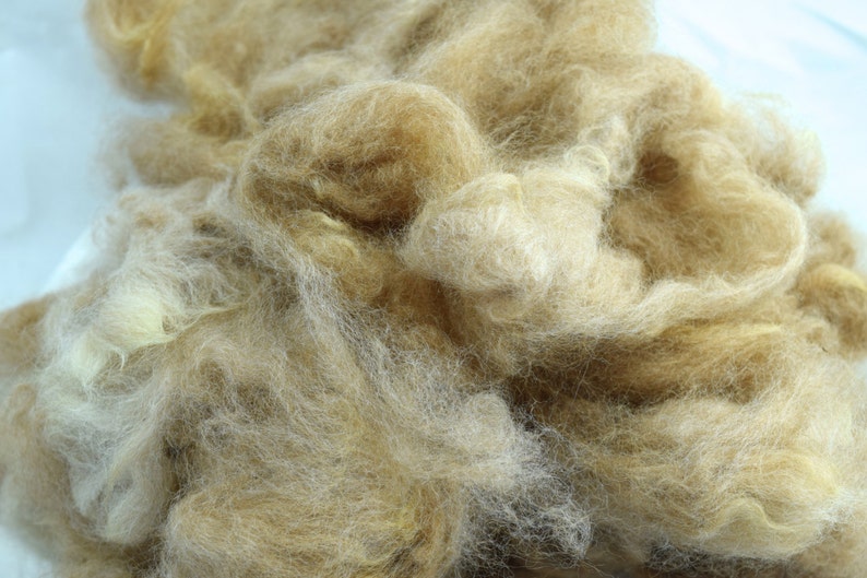 Alpaca Fiber, Washed Traviosa image 5