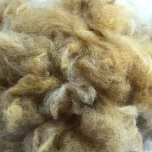 Alpaca Fiber, Washed Traviosa image 2