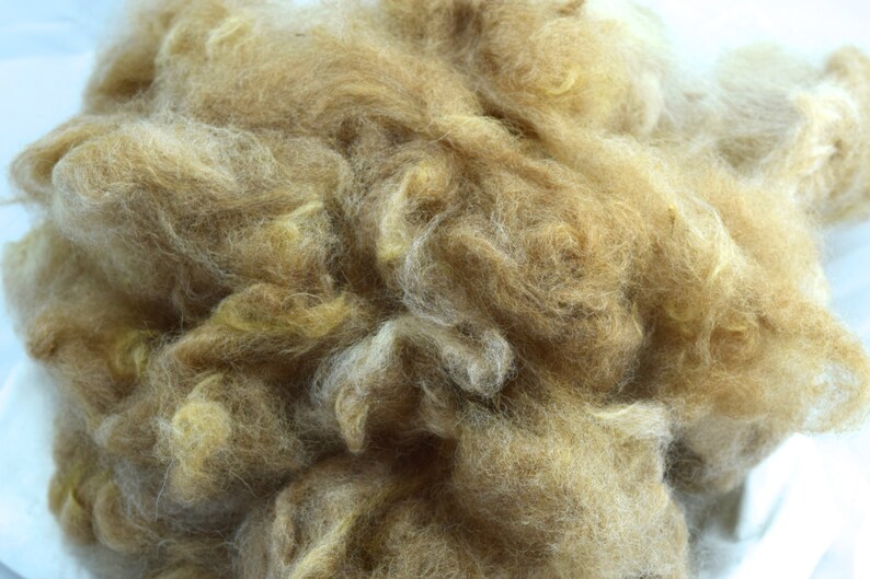 Alpaca Fiber, Washed Traviosa image 2