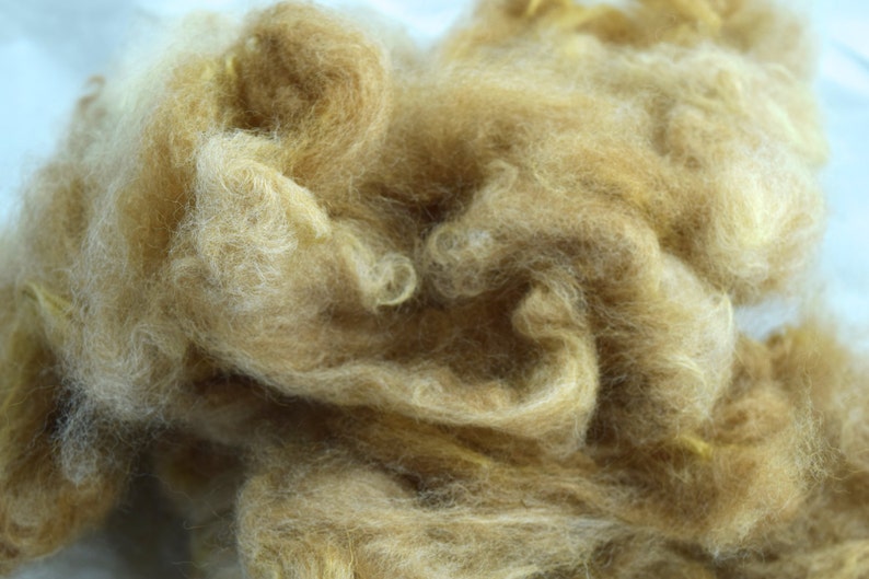 Alpaca Fiber, Washed Traviosa image 4