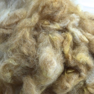 Alpaca Fiber, Washed Traviosa image 1