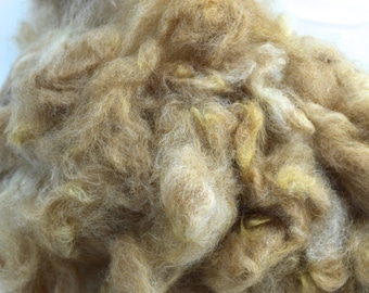 Alpacavezel, Gewassen (Traviosa)