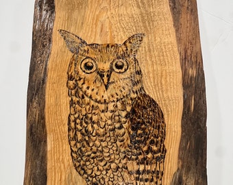 Owl Wood burning Wall hanging