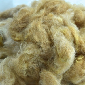 Alpaca Fiber, Washed Traviosa image 3