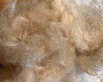 Alpaca Fiber, Washed (Truman)