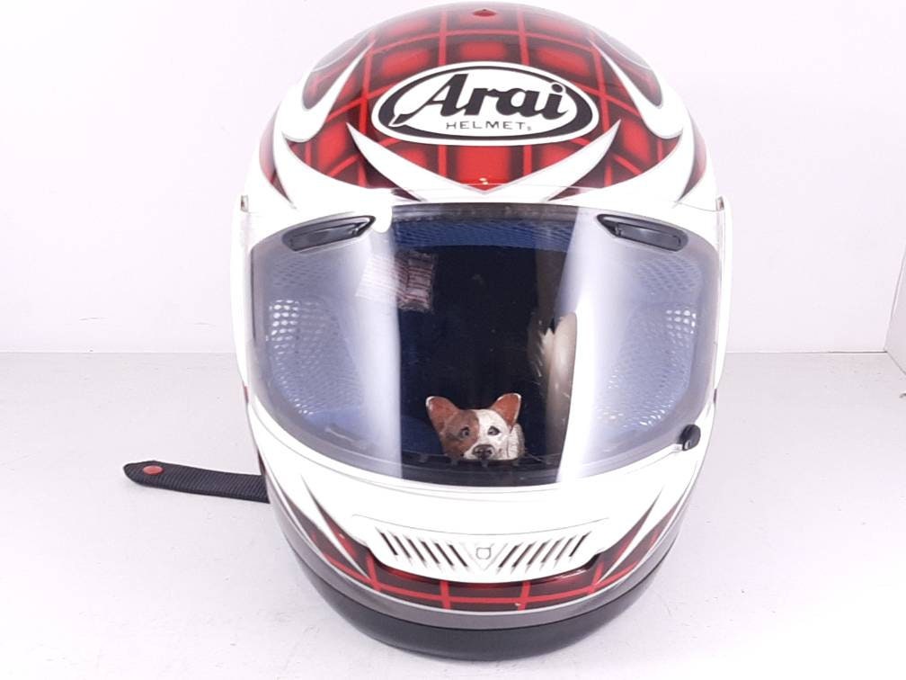Buzz Lightyear Motorcycle Helmet Cheap Dealers | www.olympcsmv.cz