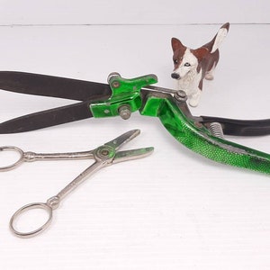 Vintage Pair of Pruning Tools, Metallic Green Hand Shears and Stainless Steel Garden Club Rose Trimmers, Vintage Metal Gardening Tools