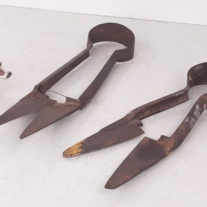 Pair of Vintage Spring Steel Sheep Shears, Wilkinson Steel Shears with Broken Tip- Doesn&#39;t Cut; and Unstamped- Cuts Well, Rustic Farm Decor