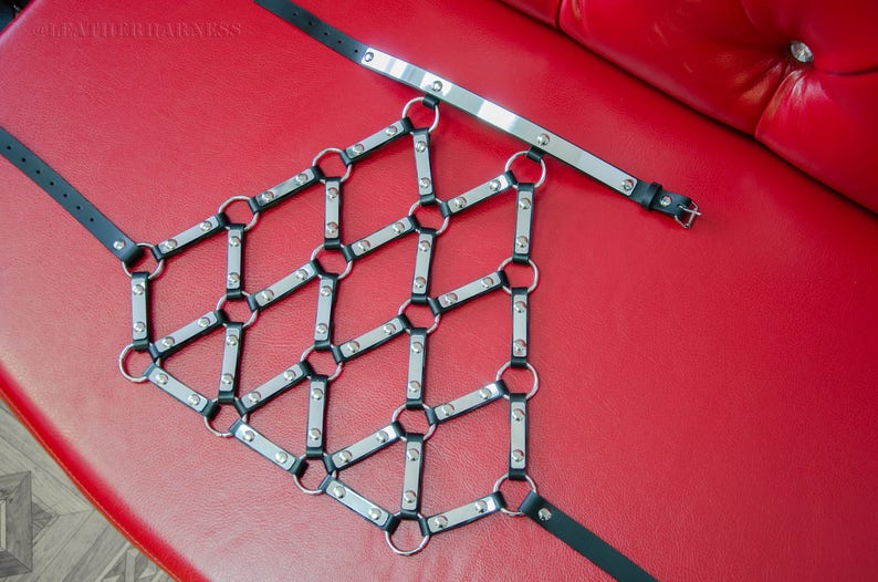 Mirror harness leather harness leather straps at body Etsy