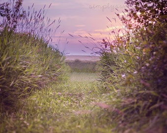 Digital Background Wheat Field Sunset