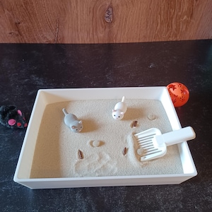 Mini-zentuin kattenbak