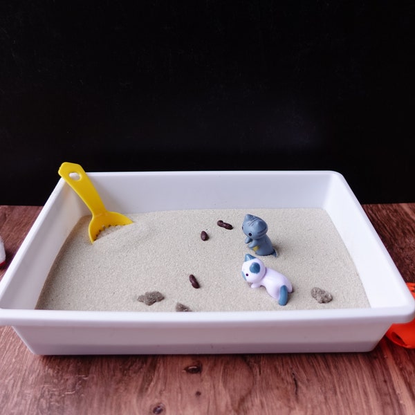 Mini Zen Garden Etsy