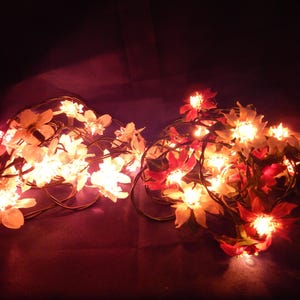 May include: Two strings of flower fairy lights. One string has white and cream-coloured flowers, the other has red and orange flowers. The lights are illuminated, creating a warm, inviting glow.