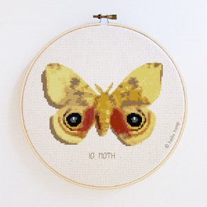 Moth cross stitch pattern - Io Moth - PDF - Instant download